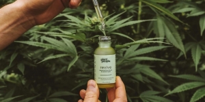 What Is Cannabidiol (CBC) and What Are Its Benefits? What Is Cannabidiol (CBC) and What Are Its Benefits?