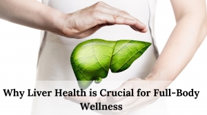 Liver Health: Key to Wellness Liver Health: Key to Wellness